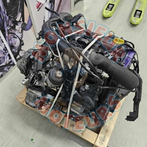 Y17DT 3