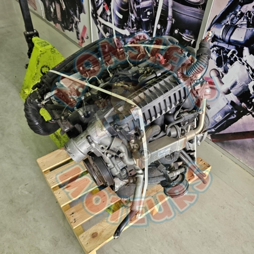 646 961 1