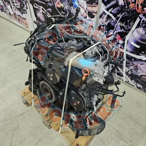 ASB 1