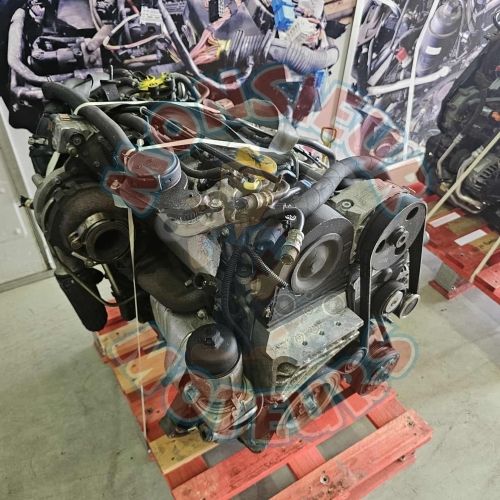 z20s1 2
