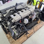 256T1 1