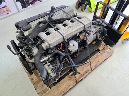 256T1 1