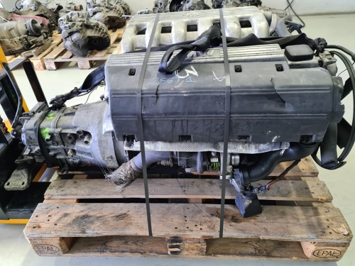256T1