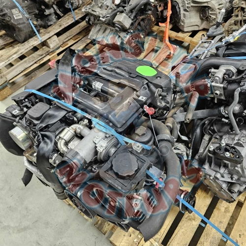 204D4 1 204D4 1