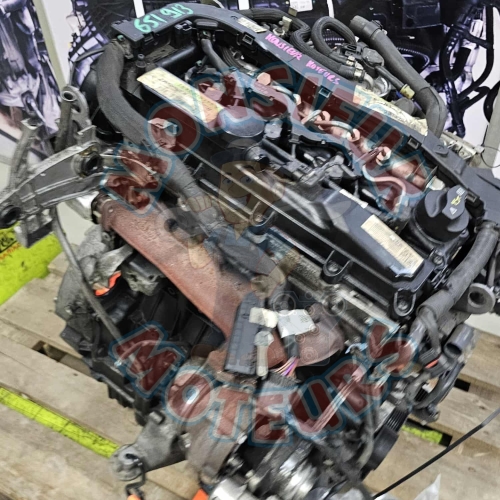 651 913 2