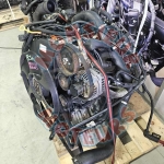 BJM 2