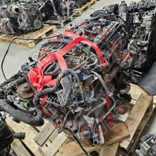 D5244T17 3